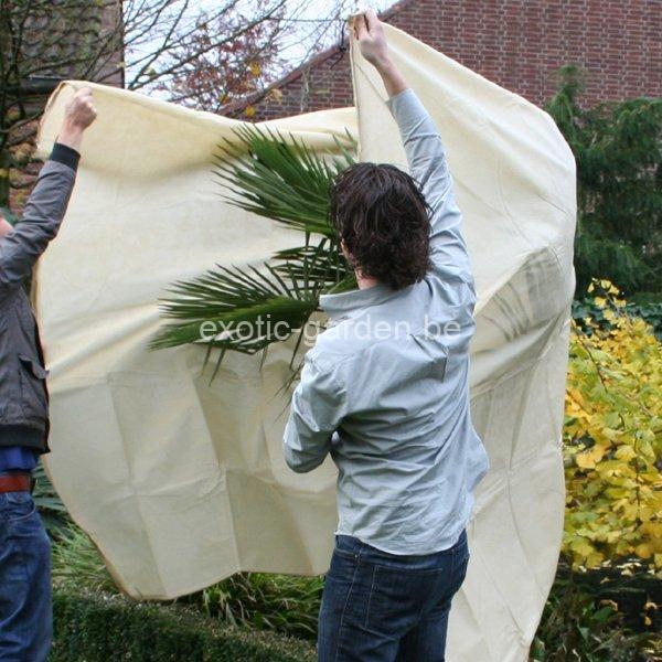 Beschermhoes winter - XXL 240x200 - Afbeelding 4